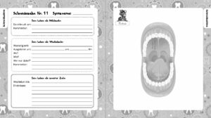 Alle meine Zähne - Zahnkalender (Innenansicht)