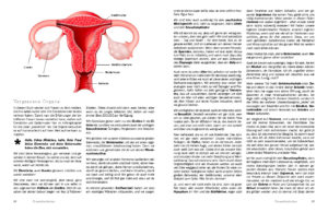 Frauenkastration Leben nach dem Verlust von Gebärmutter und Eierstöcken