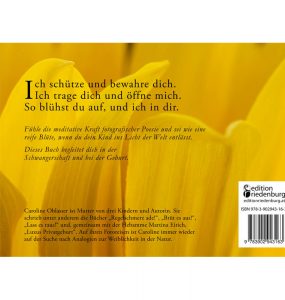 Die Sonne sucht dich