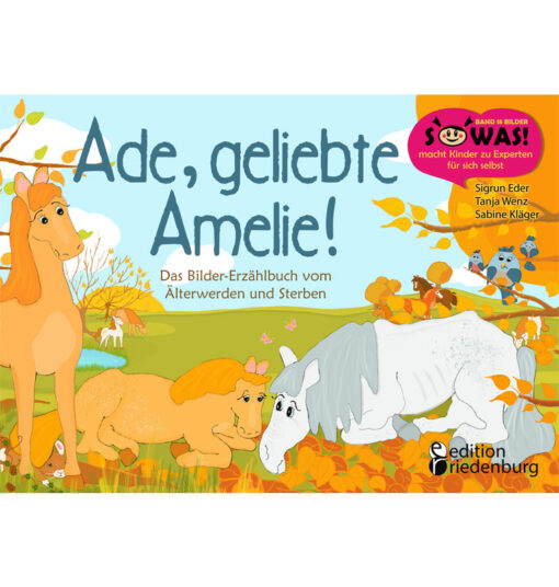 Ade, geliebte Amelie! (Cover)