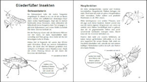 Ausmalspaß + Wissen: Fantatiere. Malbuch ab 6 Jahre. SOWAS!-Reihe (Innenansicht)