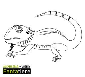 Ausmalspaß + Wissen: Fantatiere. Wirbeltiere: Kriechtiere: Bartagame