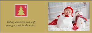 Baby Adventskalender - Ein zauberhaft fotografierter Bilderbuch-Adventskalender für Schwangere, Mamas und Papas (Innenansicht)