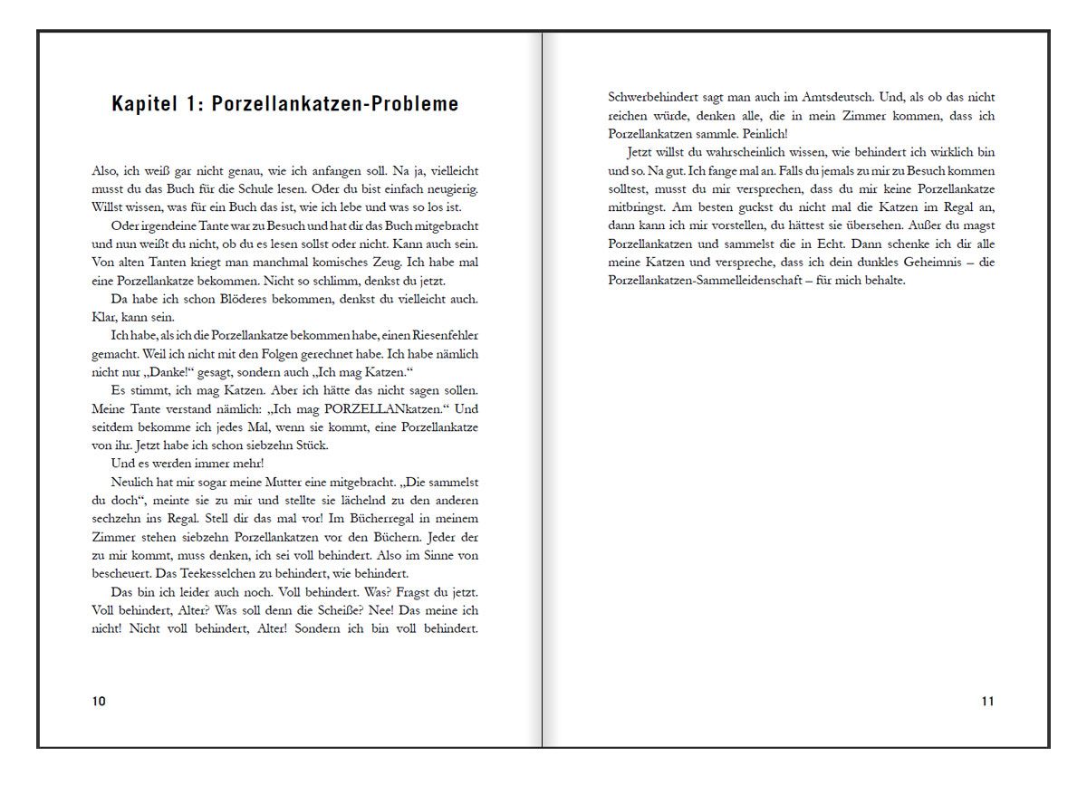 Voll behindert, Alter! Ein Sommer am A.... der Welt. Jugendroman - zufällig inklusiv (Innenansicht)