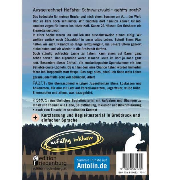 Voll behindert, Alter! Ein Sommer am A.... der Welt. Jugendroman - zufällig inklusiv (Cover Rückseite)